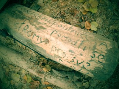 2019-05/1559205931_img-2471