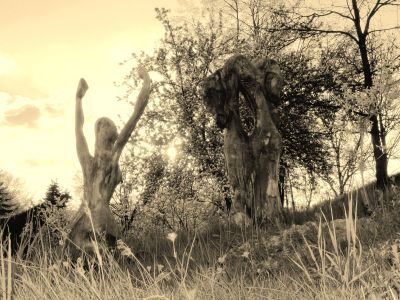 sochy/Abstrakce/sochy (1)